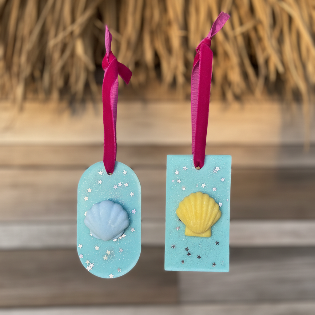 Les Souvenirs de la Paillote - tablettes turquoise forme correcte