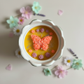 Petit jardin en pot – vue du dessus